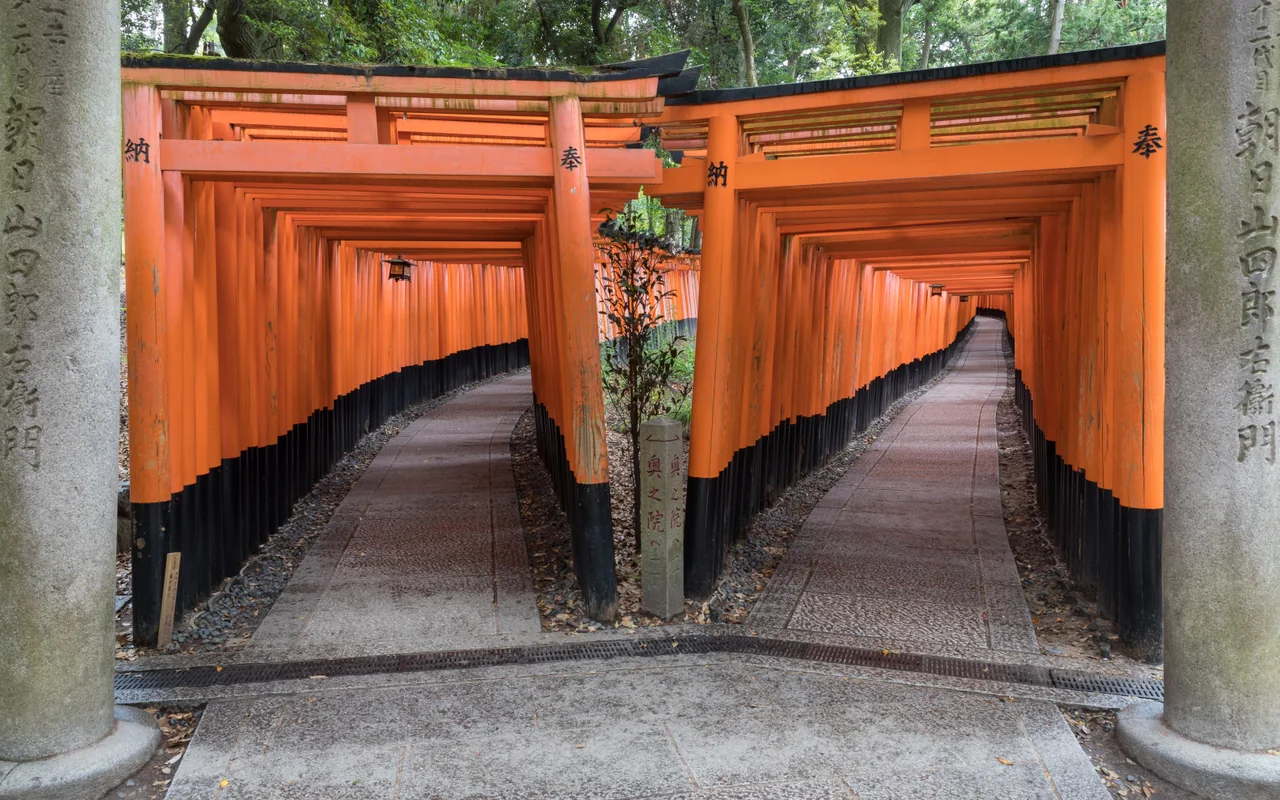 緑の木々の下、朱色の鳥居が二つの小道に沿って奥へと続く。
